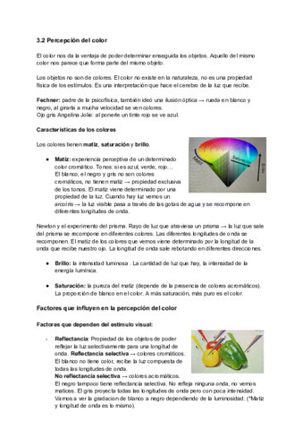 Miniatura del documento Percepcion-visual-2-Audicion-Sentidos-cutaneos-y-Quimicos.pdf