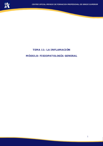 Miniatura del documento UD11 FG.pdf