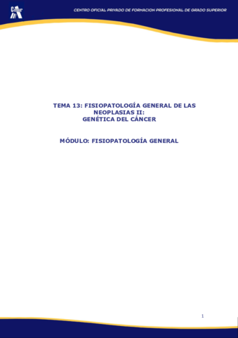 Miniatura del documento TEMA 13.pdf