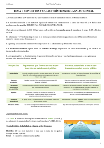 Miniatura del documento Enfermeria-de-la-Salud-Mental-1.pdf