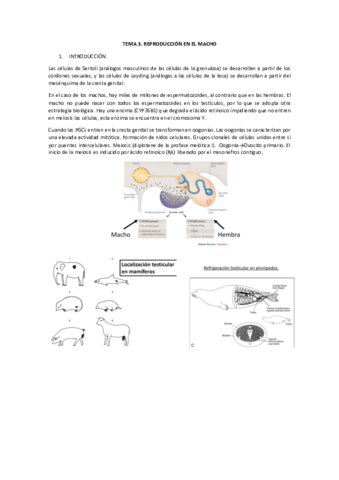 Miniatura del documento UD1-T3-NACHO-2021.pdf