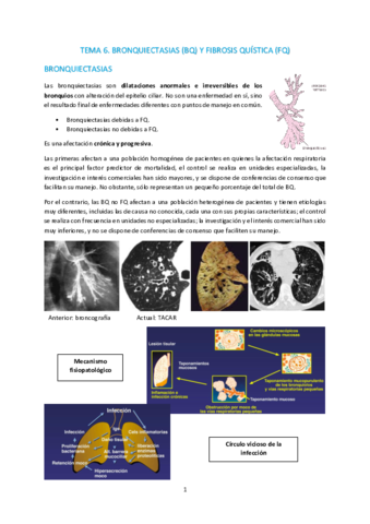 Miniatura del documento T6-Bronquiectasias-y-fibrosis-quistica.pdf