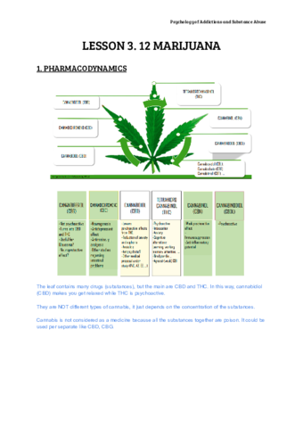 Miniatura del documento LESSON-3.pdf