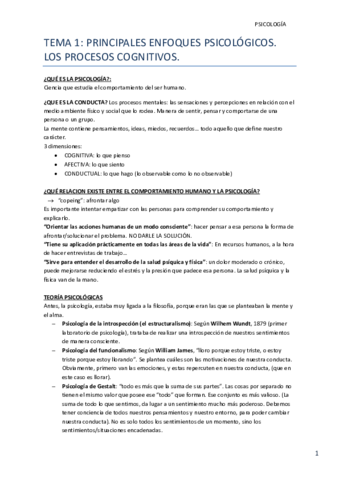 Miniatura del documento TODO-PSICOLOGIA.pdf