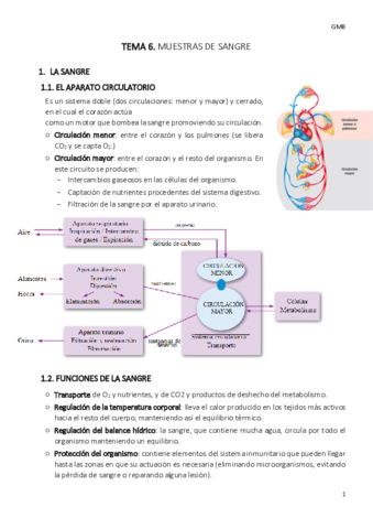 Miniatura del documento TEMA-6-gmb.pdf