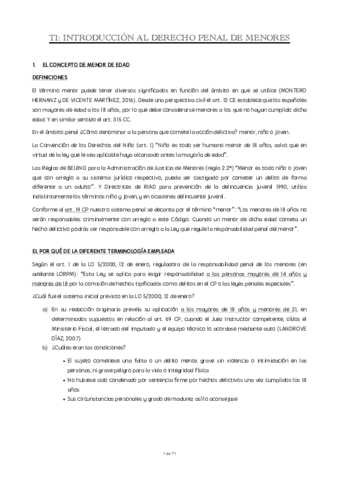 Miniatura del documento T1-T6-DPM.pdf