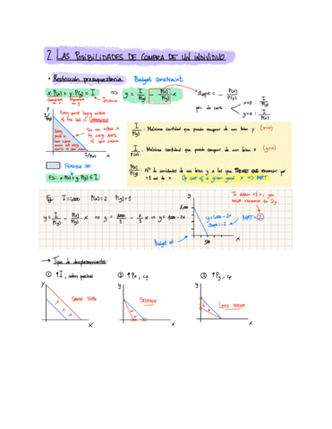 Miniatura del documento Topic-2-Las-posibilidades-de-compra-de-un-individuo.pdf