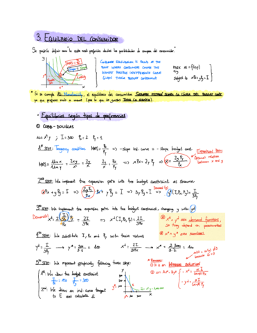 Miniatura del documento Topic-3-Equilibrio-del-consumidor.pdf