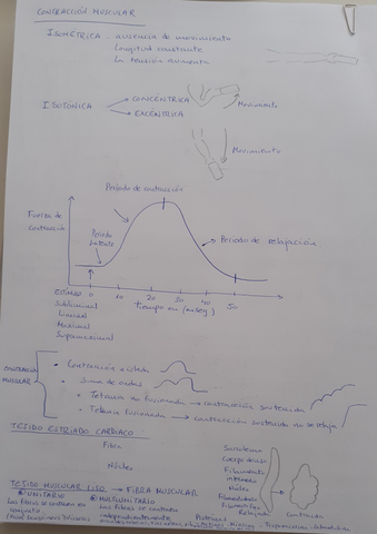 Miniatura del documento 20211003092355.jpg