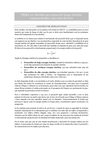 Miniatura del documento Tema 10.pdf