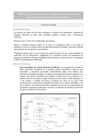 Miniatura del documento Tema 12.pdf