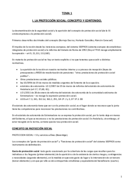 Miniatura del documento TEMA 1. La protección social concepto y contenido.pdf