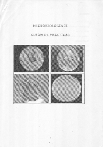 Miniatura del documento Guion de Practicas Resuelto.PDF