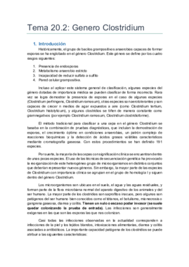 Tema 20.2.pdf