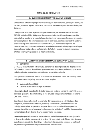 Miniatura del documento TEMA 12 SS.pdf