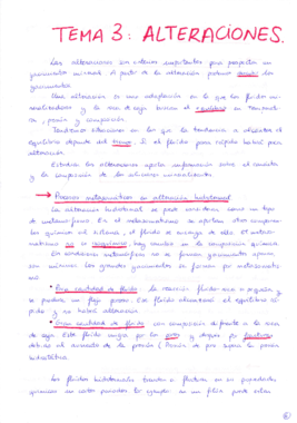 Miniatura del documento Tema 3 Yacimientos.pdf