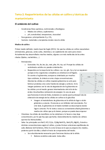 Miniatura del documento Tema 2.pdf
