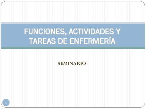 Miniatura del documento Seminario-Funciones-enfermeria.pdf