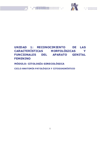 Miniatura del documento UD1 CIGI.pdf