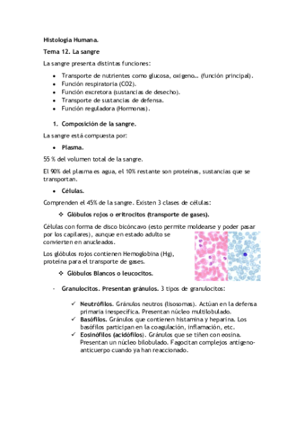 Miniatura del documento Tema 12- 13.pdf