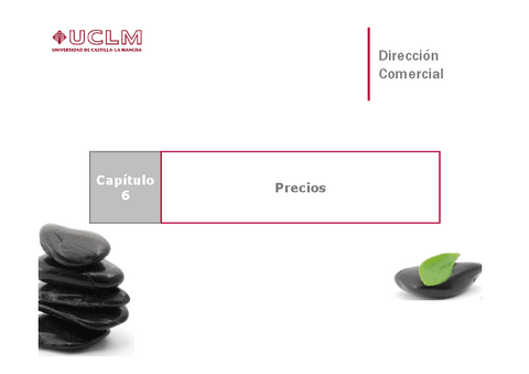 Miniatura del documento DC-Tema-06-Precios.pdf