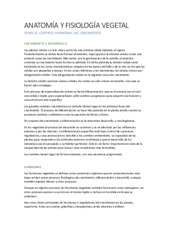 Miniatura del documento AFV T13.pdf
