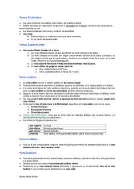 Miniatura del documento Venas.pdf