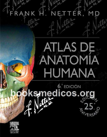 Miniatura del documento Netter Frank H - Netter Atlas De Anatomia Humana (6ed).compressed.pdf