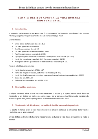 Miniatura del documento TEMA 1 1 DELITOS CONTRA LA VIDA CARMEN.pdf