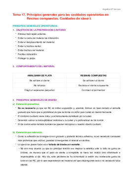 Miniatura del documento Tema 17.pdf