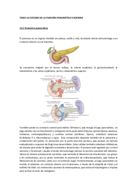 Miniatura del documento TEMA 13-Estudio de la función pancreática exocrina.pdf