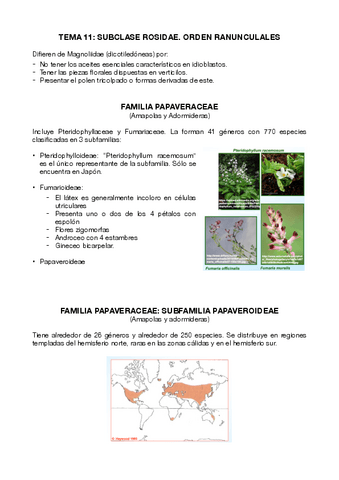 Miniatura del documento T11.-Subclase-Rosidae.-Orden-Ranunculales.pdf