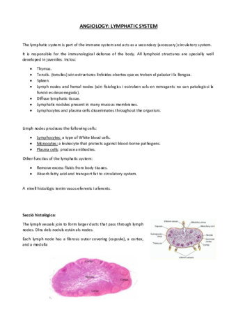 Miniatura del documento 8. Sistema limfàtic.pdf