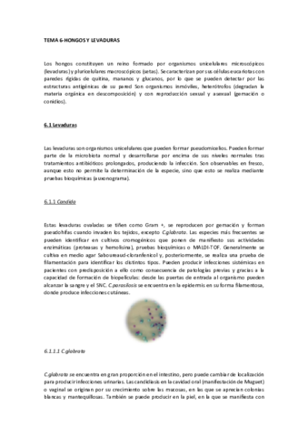 Miniatura del documento TEMA 6-Hongos y levaduras.pdf