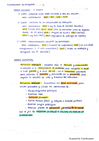 Miniatura del documento Resumen historico legal y conceptual.pdf