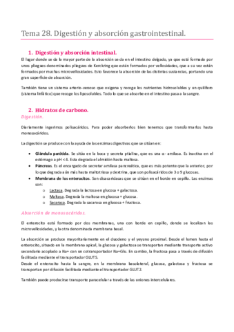 Miniatura del documento TEMA 28. SISTEMA DIGESTIVO. DIGESTIÓN Y ABSORCIÓN GASTROINTESTINAL.pdf