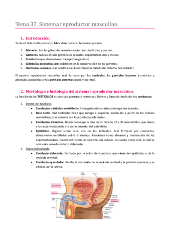 Miniatura del documento TEMA 37. SISTEMA REPRODUCTOR. SISTEMA REPRODUCTOR MASCULINO.pdf