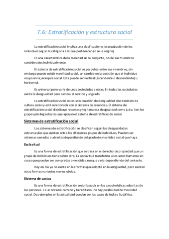 Miniatura del documento TEMA-6-SOCIOLOGIA.pdf