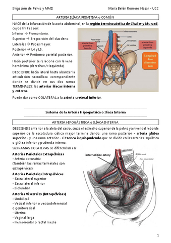 Miniatura del documento IRRIGACION-PELVIS-Y-MMII.pdf
