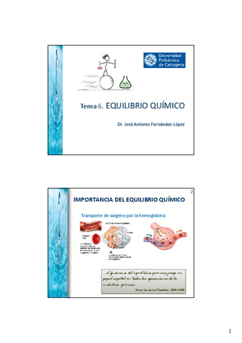 Miniatura del documento TEMA-06-Equilibrio-Quimico.pdf
