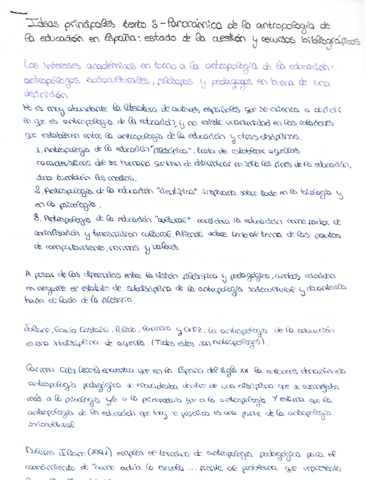 Miniatura del documento Ideas principales - panorámica de la antropología de la educación en España- estado de la cuestión y recursos bibliográficos.pdf