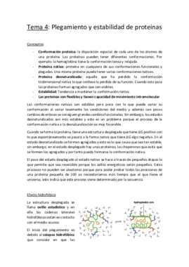 Miniatura del documento Tema 4 limpio.pdf