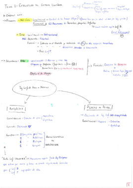 Miniatura del documento Tema 2.1 DLM.pdf