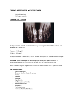 Miniatura del documento Tema 5 TERMINADO.pdf