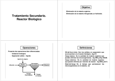 Miniatura del documento Tema 7 - Reactor Biologico.pdf