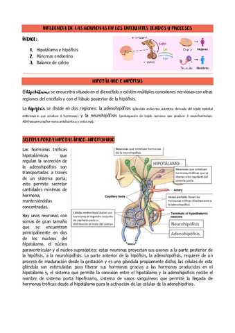Miniatura del documento tema-6.1-6.2-y-6.3-estructura-y-funcion.pdf