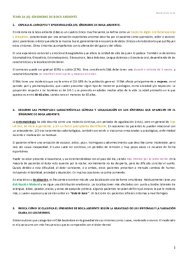 Miniatura del documento Preguntas T34 (II).pdf