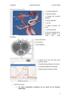 Miniatura del documento PREGUNTES PER REPASAR.pdf