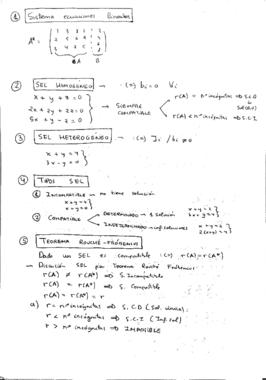 Miniatura del documento SitEcuacion.pdf