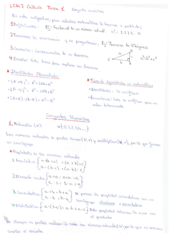 Miniatura del documento MACRO RESUMEN CALCULITO.pdf